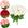 Rosas Brancas