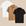 Branco bege preto