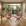 Sintetico Off White e Bougle Terracota