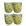Floral Amarelo