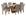 floral avela / avela