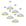 Branco brilho