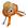 LARANJA