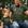 Verde, Militar
