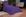 todo roxo