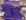Roxo