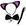 Gato Preto e Rosa