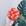 LB2-Vermelho C/ Dourado