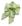 Arabesco Verde cor 09