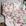 Bege com Floral Rosa