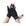 Preto