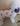Laranja