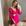 Rosa pink