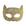 meio gato dourado