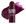 PLUM POP