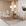 Veludo Creme/Off White/Imbuia
