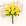 106 - Amarelo Gema