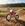 Honda crf 450r