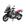 R1250 Prata
