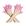 1 par rosa