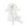 Poodle