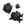 Conjunto 23