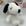 Snoopy