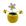 Amarelo 02