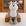 Cachorro schnauzer
