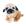 Pug
