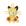 Gato pokémon