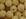  Dourado