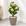 VASO BEGE FLOR BEGE