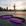 Roxo