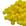 Amarelo Ouro