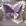 Roxo