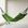 Verde limão