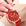 Vermelho Sangue