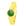 Gold/green