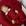 Vermelho red night
