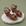 Pecan