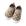 F25862 c
