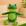 Sapo frog