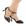 Preto, Flor, Fivela