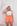 Cenoura