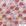 Cód, 102
