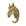 cavalo