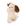 Cachorro marrom