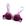Roxo