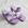 Lavanda